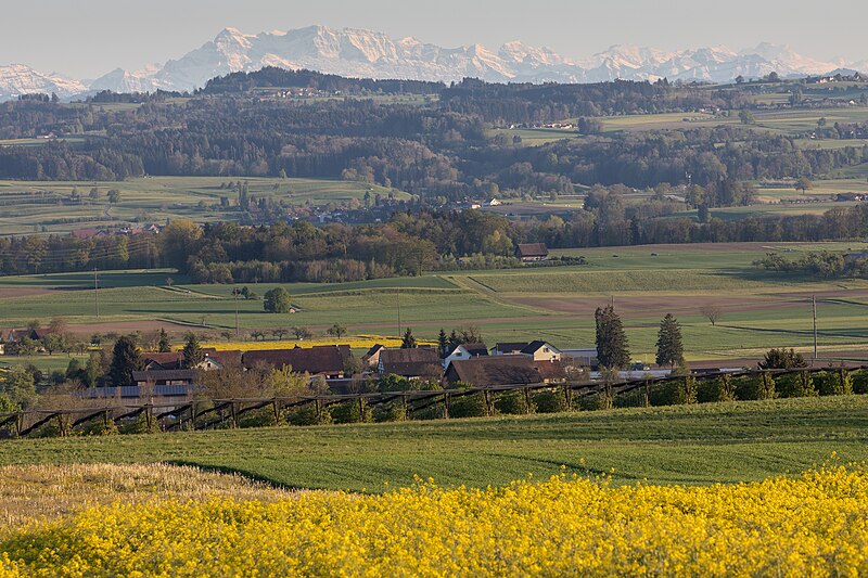 File:Opfershofen, Thurtal und Alpenkette.jpg