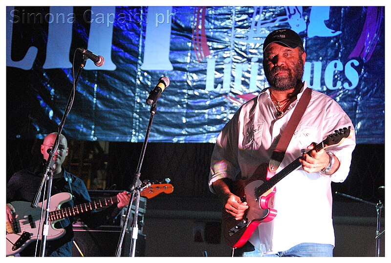 File:Otis Taylor Liri Blues 2010.jpg