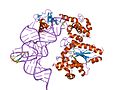 Vignette pour Tyrosyl-ARNt synthétase