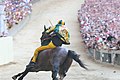 Bruco's jockey Giuseppe Zedde (nicknamed "Gingillo") and the barbero (horse) Elisir Logudoro leading the Palio of August 16th 2008