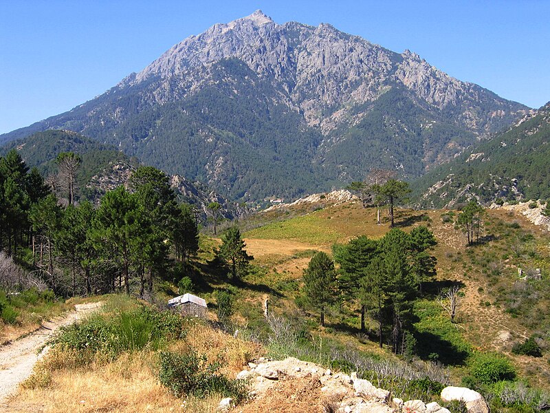 File:Parc Hte Corse-Col Vivario2.JPG