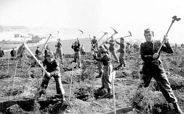 Mocidade Portuguesa (Portuguese Youth) members working in the Monsanto Forest Park, Lisbon, circa 1938