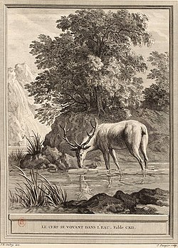 Image illustrative de l’article Le Cerf se voyant dans l'eau