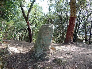 Pedra dels Evangelis