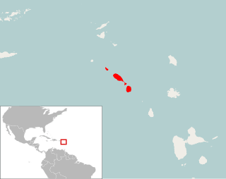 <i>Pennatomys</i> An extinct rodent from the islands of Sint Eustatius, Saint Kitts, and Nevis in the Lesser Antilles