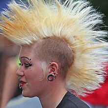 220px-Person_with_mohawk_Stockholm_Pride