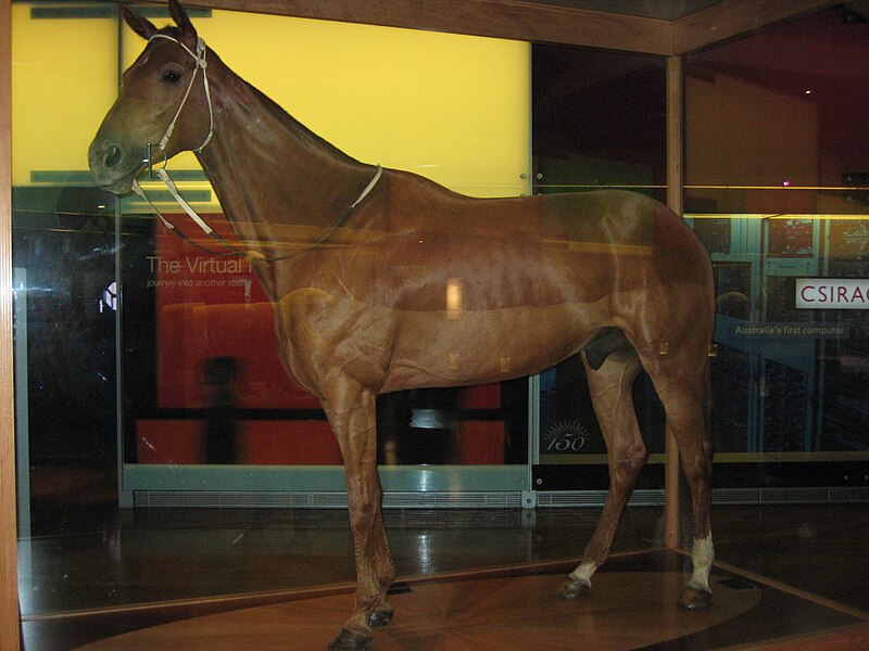 File:Phar Lap full.jpg