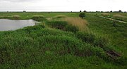 Vignette pour Réserve naturelle de Luitemaa