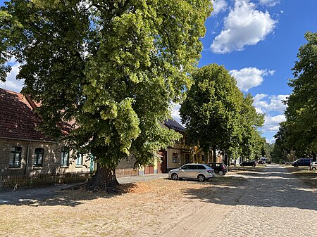 Planebruch Freienthal Ortsansicht 01