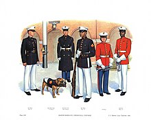 Табличка VIII, Церемониальная форма казарм морской пехоты - Униформа корпуса морской пехоты США 1983 (1984), Донна Дж. Нири. Jpg
