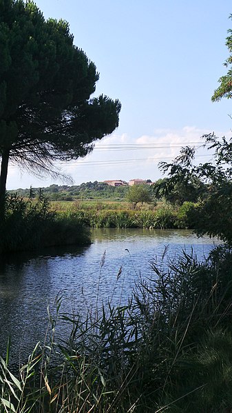 File:Portiragnes, France - panoramio (22).jpg