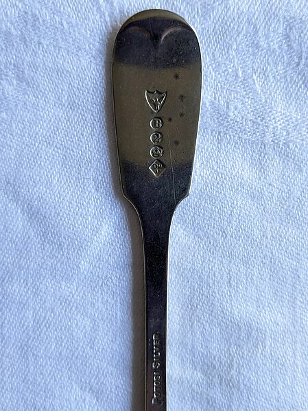 Silver spoon - Wikipedia