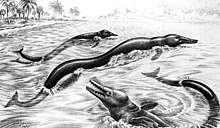 Outdated restoration of Basilosaurus by Andrew R. Janson from 1956 showing a serpent-like design Pr00208.jpg