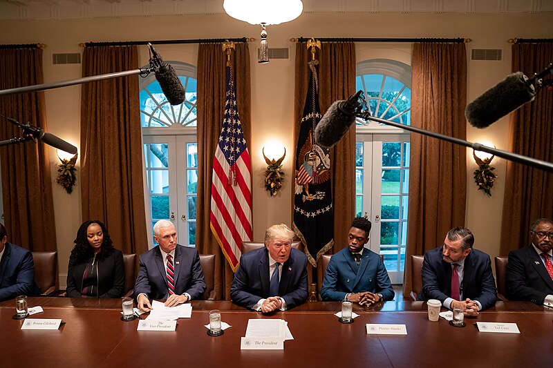 File:President Trump at a Roundtable about Education Choice (49198474968).jpg