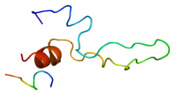 پروتئین CCKAR PDB 1d6g.png