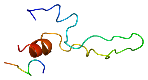 Protein CCKAR PDB 1d6g.png