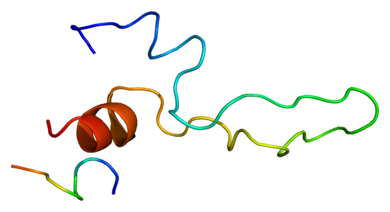 File:Protein CCKAR PDB 1d6g.png
