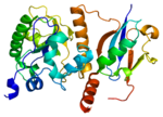 Thumbnail for Thymine-DNA glycosylase