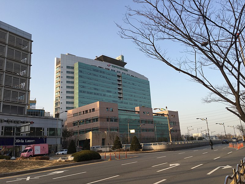 File:Q16099199 Hallym Hospital Dongtan A01.JPG