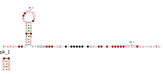 <span class="mw-page-title-main">Coronavirus frameshifting stimulation element</span>