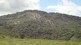 Reserva Biológica da Pedra Talhada em Alagoas.