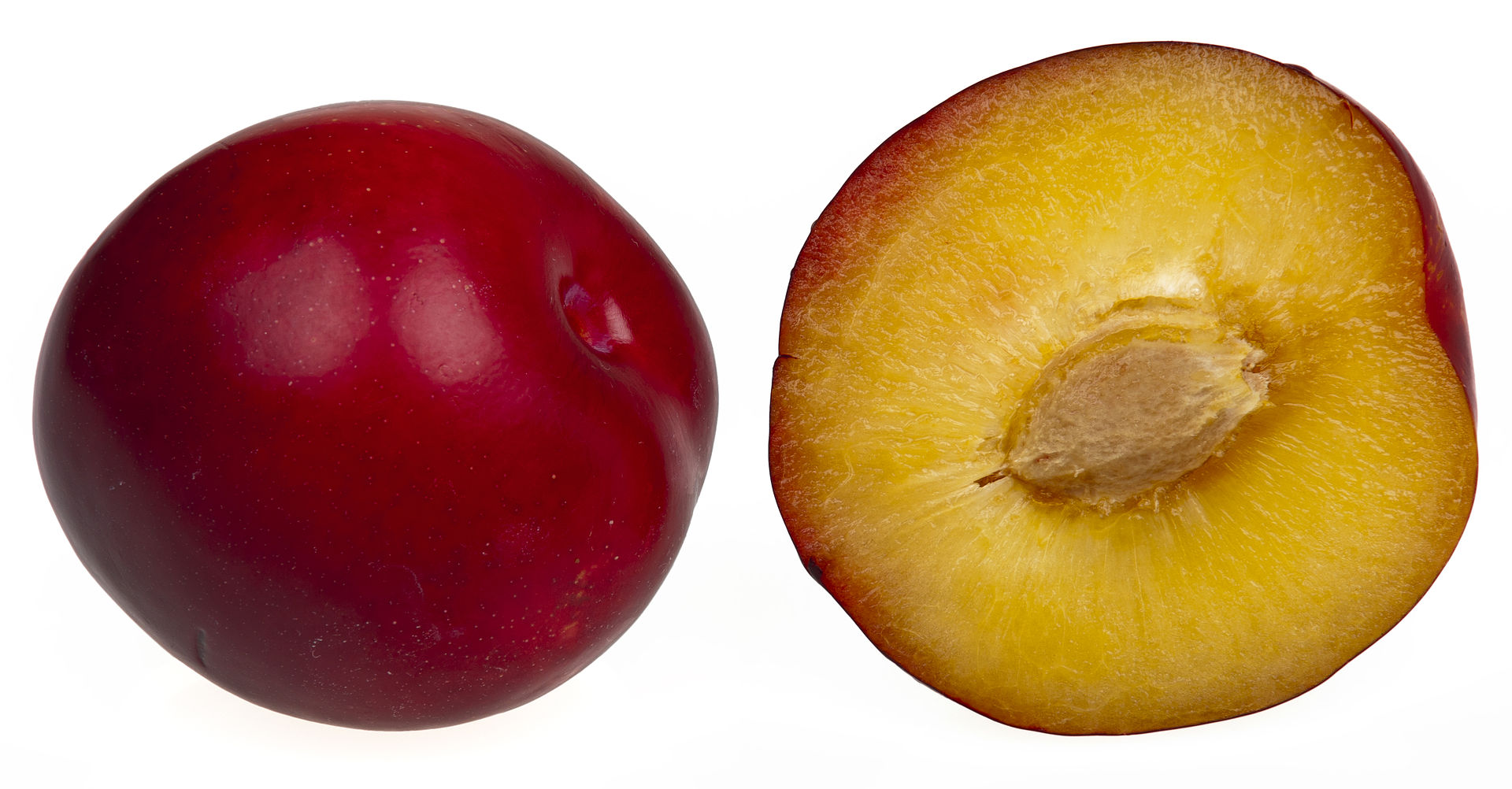 Plum Wikipedia