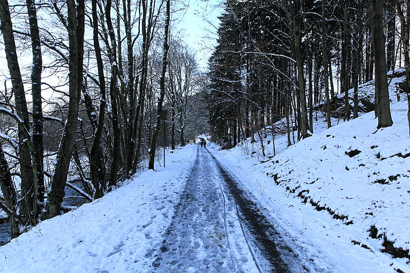 File:Remscheid Lennep - Schneppendahl 04 ies.jpg