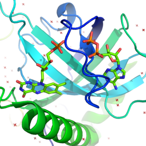 Kinase