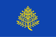 Vlag van Rijssen