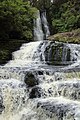 Chute McLean, Riviere Tautuku (Nouvelle-Zélande)