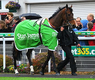 Rock On Ruby Irish-bred Thoroughbred racehorse