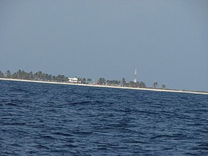 Roncador Cay, a maior ilha do banco