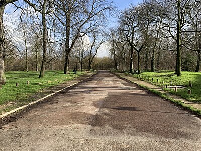 Route de la Plaine