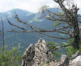 Rožca mountain in Slovenia