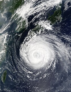 Image satellite du typhon Rusa le 29 août près de l'Archipel Ryūkyū.