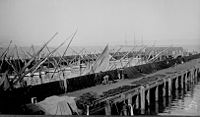 At Fishermen's Wharf, San Francisco, circular crab nets, large fish nets and feluccas protruding masts. 1891. Source: NARA SF felluca from NARA 116.jpg