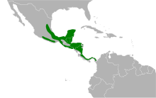 Saltator atriceps map.svg