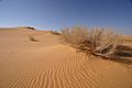 صحراء النفود An Nafud desert