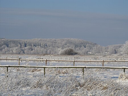 Schwarzer Berg Winter 2010