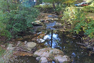 Scotch Run (Catawissa Creek tributary) Tributary of Catawissa Creek