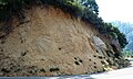 Sequoia National Park - Roadcut near Eleven Range Overlook