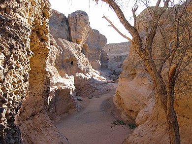 Sesriem Canyon, with the Tsauchab dry Sesriem02.jpg
