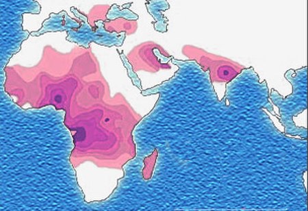 Fail:Sickle_cell_distribution.jpg