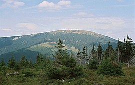 Snieznik Klodzki mountain (southern side).jpeg