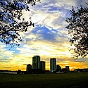 Southbank From Maxwell House.jpg