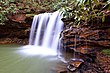 Une cascade dans une piscine calme le long d'un ruisseau, entourée de forêts.