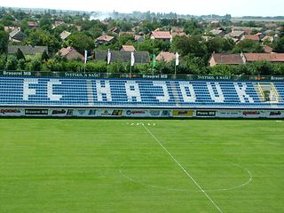 <span class="mw-page-title-main">Stadion Milan Sredanović</span> Football stadium in Serbia