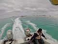 Starr-150402-4472-Tournefortia argentea-Thai crew departing on boat-Lagoon Eastern Island-Midway Atoll (24644504314).jpg