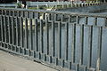 Stepan Razin bridge, fence. St Petersburg, Obvodnyi Canal.