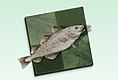 Логотип программы Stockfish